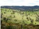 Bathurst NSW 2795