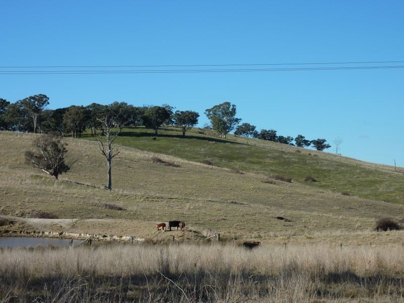 Rockley NSW 2795