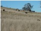 Rockley NSW 2795