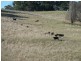 Rockley NSW 2795