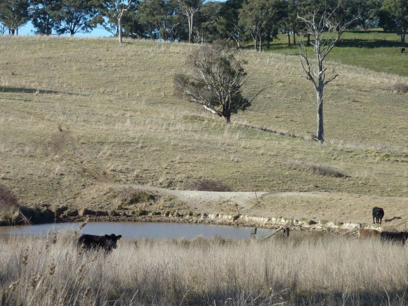 Rockley NSW 2795