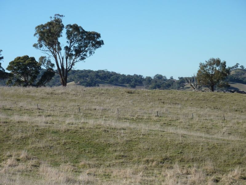 Rockley NSW 2795