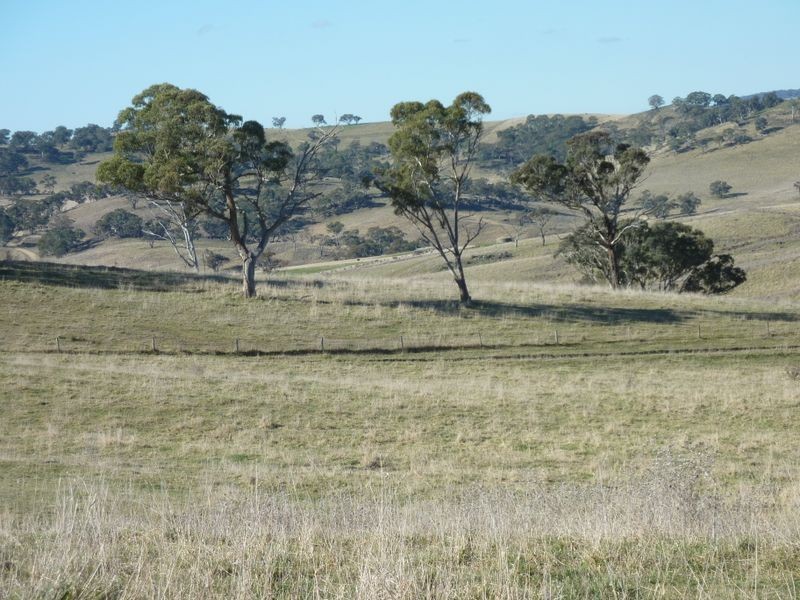 Rockley NSW 2795