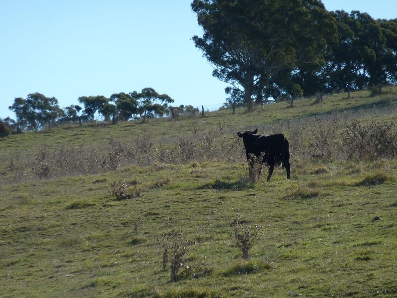 Rockley NSW 2795