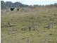 Rockley NSW 2795
