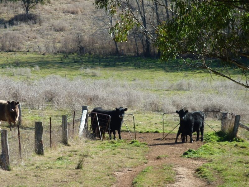 Rockley NSW 2795