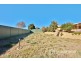 41 Cypress Crescent, Kelso NSW 2795