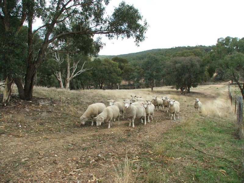 Napoleon Reef NSW 2795