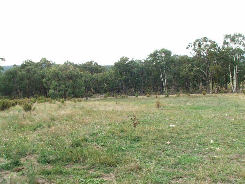 Napoleon Reef NSW 2795