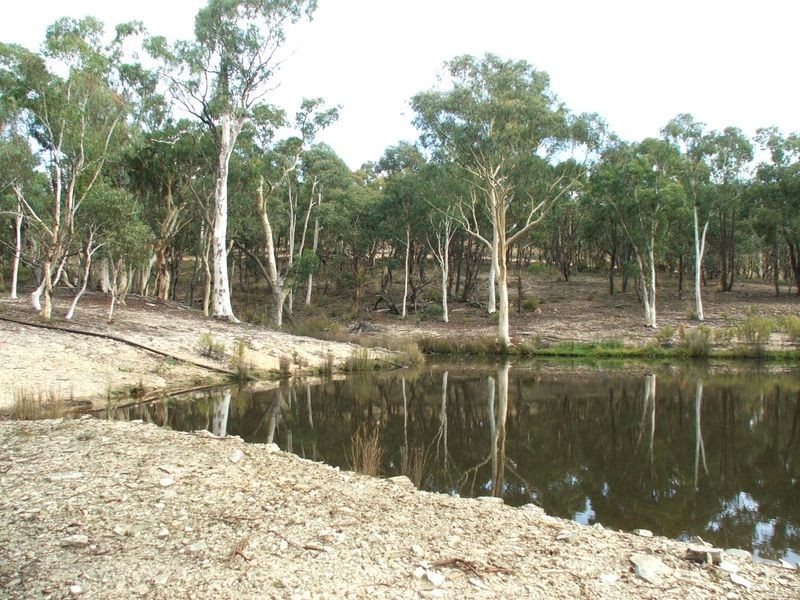 Napoleon Reef NSW 2795