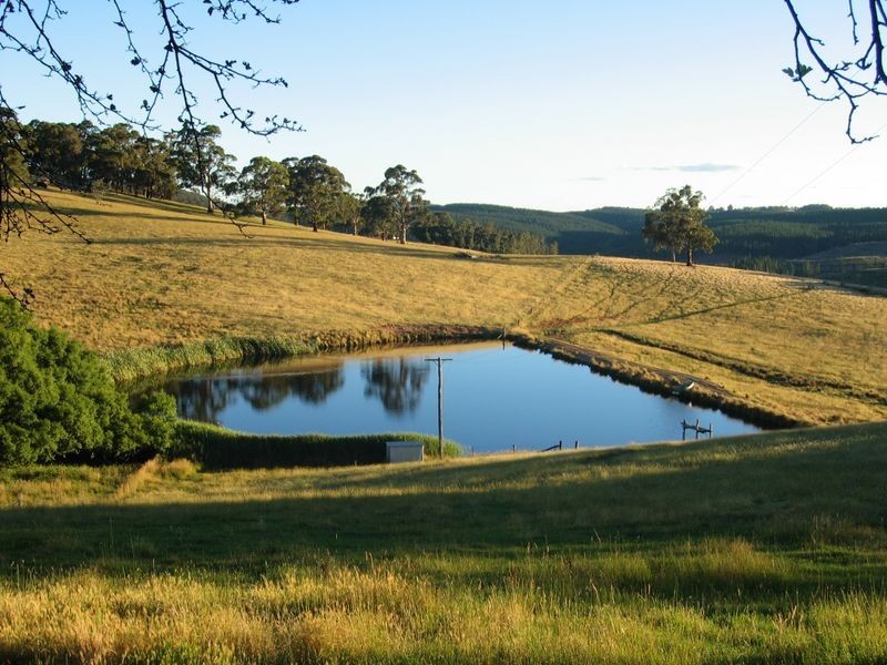 Dark Corner NSW 2795