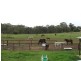 Wattle Flat NSW 2795