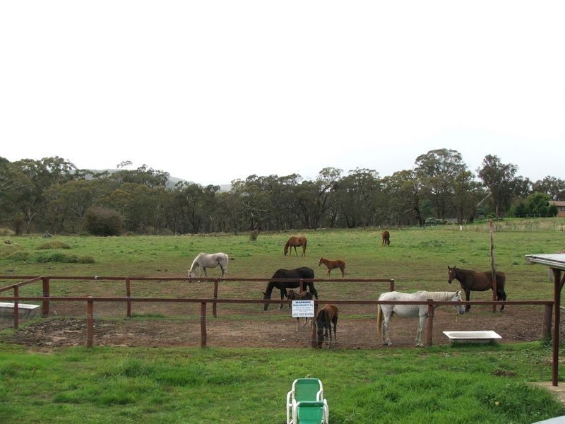 Wattle Flat NSW 2795