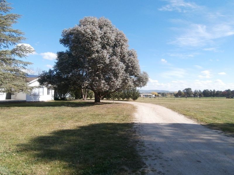 311 Eleven Mile Drive, Bathurst NSW 2795