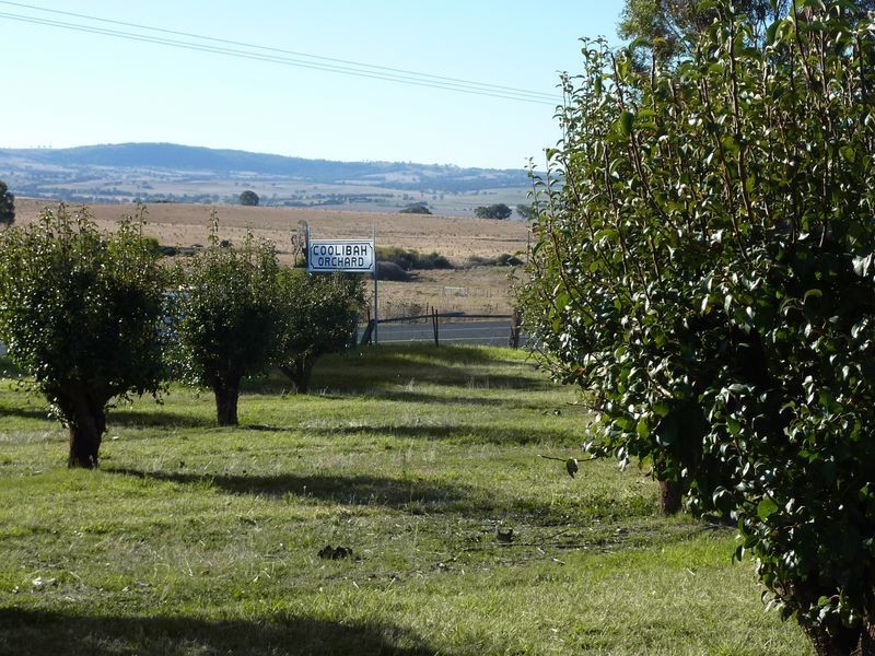 Bathurst NSW 2795