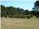 Bathurst NSW 2795