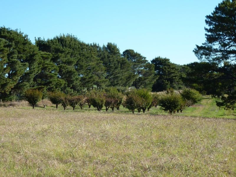 Bathurst NSW 2795
