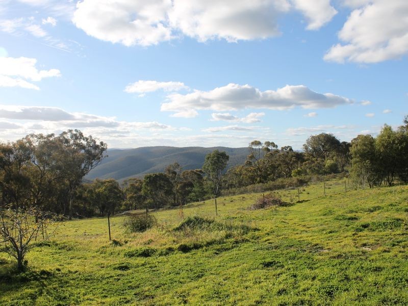 205 Peregrine Road, The Rocks NSW 2795