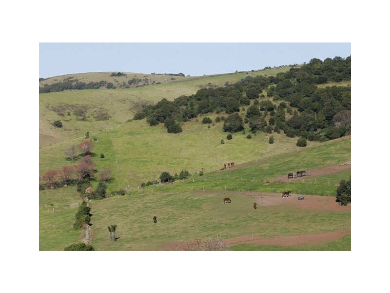 41 Saddleback Mountain Road, Kiama NSW 2533