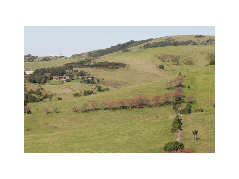 41 Saddleback Mountain Road, Kiama NSW 2533