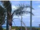 Kiama Downs NSW 2533