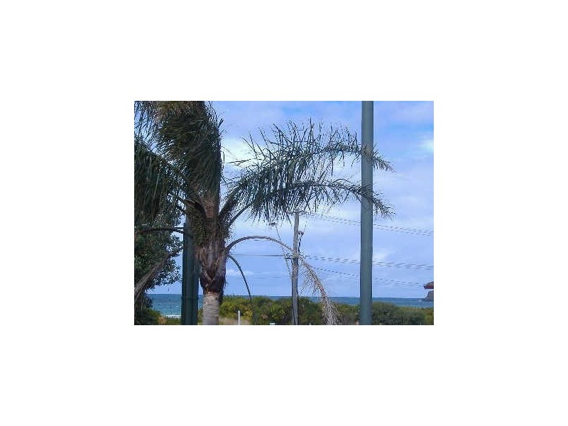 Kiama Downs NSW 2533