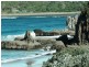 Kiama Downs NSW 2533