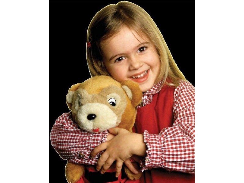 14 Gray Street, Kiama Downs NSW 2533