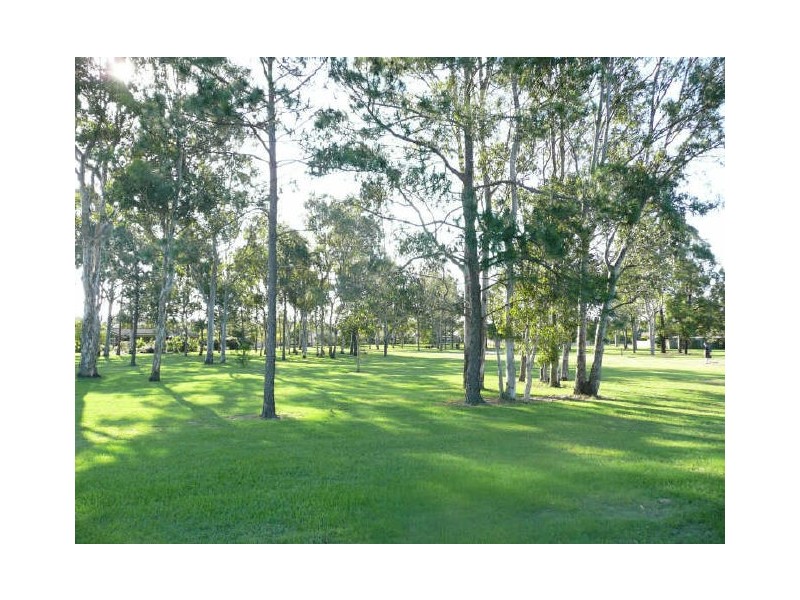 3 David Street, Bracken Ridge QLD 4017