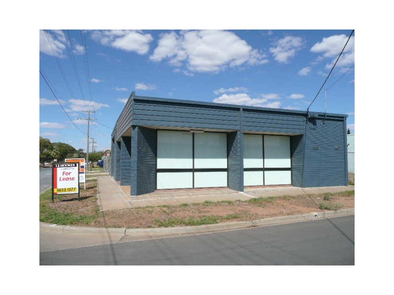 19 Scott Crescent, Mildura VIC 3500