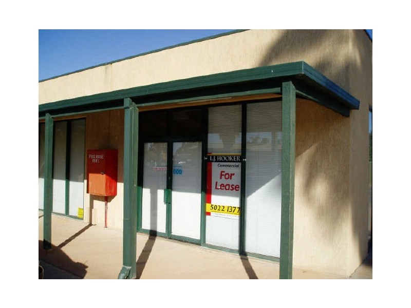 4/2103 Fifteenth Street, Irymple VIC 3498