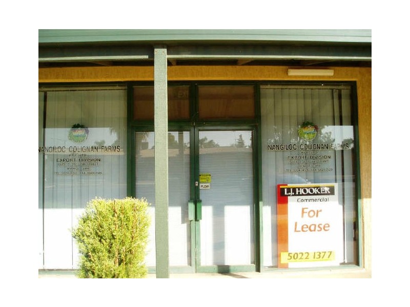 2/2103 Fifteenth Street, Irymple VIC 3498