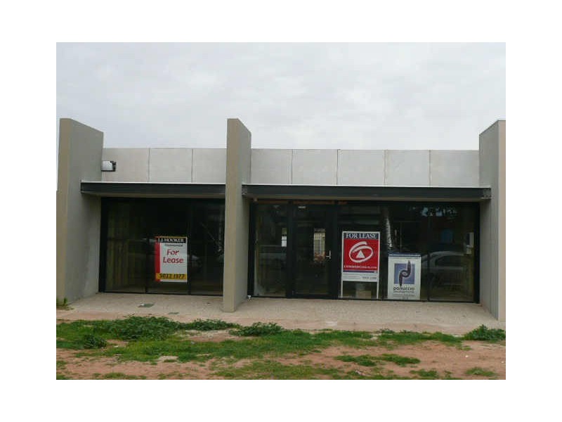 91 Pine Avenue, Mildura VIC 3500