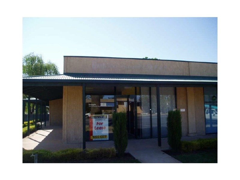 1/2103 Fifteenth Street, Irymple VIC 3498