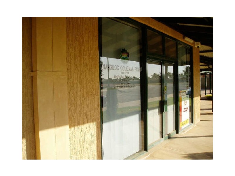 2/2103 Fifteenth Street, Irymple VIC 3498