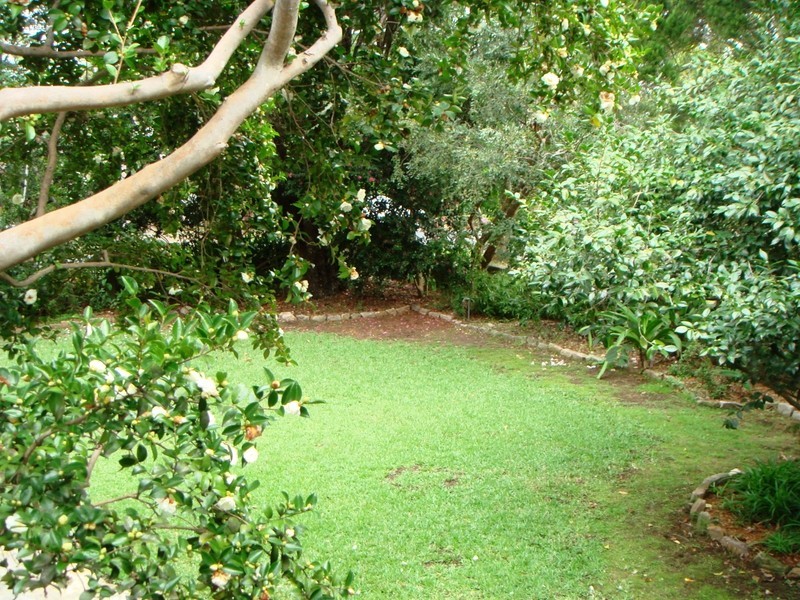 8 Trentino Road, Turramurra NSW 2074