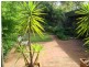 16A Terrell Avenue, Wahroonga NSW 2076