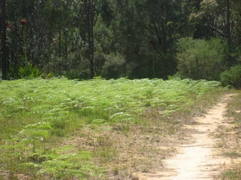 48 Polins Road, Calga NSW 2250