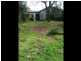11 Ascot Avenue, Wahroonga NSW 2076