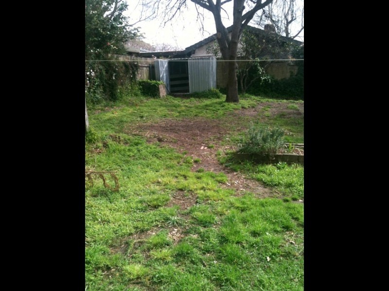 11 Ascot Avenue, Wahroonga NSW 2076