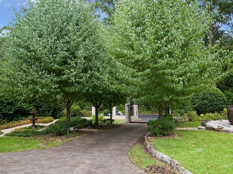 6 Mona Street, Wahroonga NSW 2076