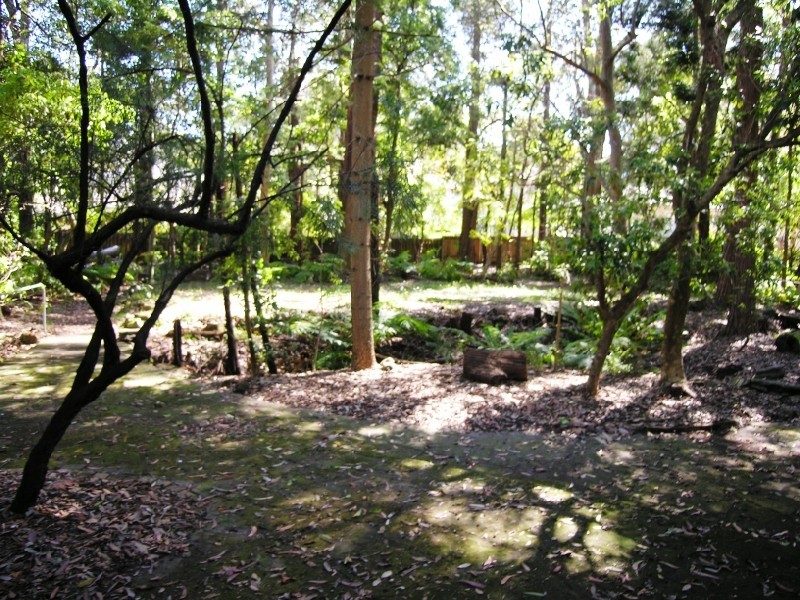 137 Burns Road, Wahroonga NSW 2076