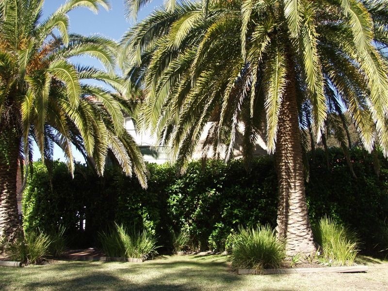 1/80 Flora Street, Kirrawee NSW 2232