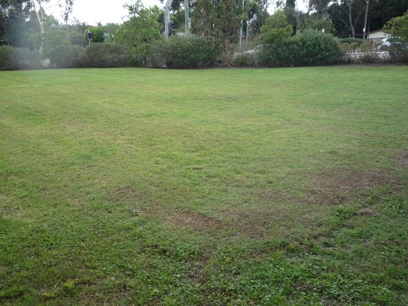 31 Linden Street, Sutherland NSW 2232