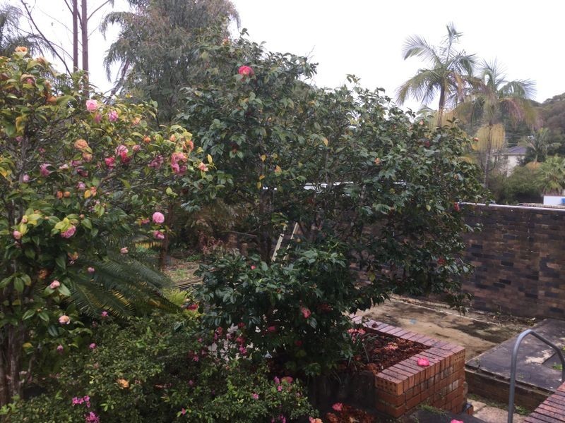 94 Oyster Bay Road, Oyster Bay NSW 2225