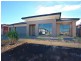 166 Tenterfield Drive, Burnside Heights VIC 3023