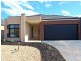 53 Lawson Way, Caroline Springs VIC 3023