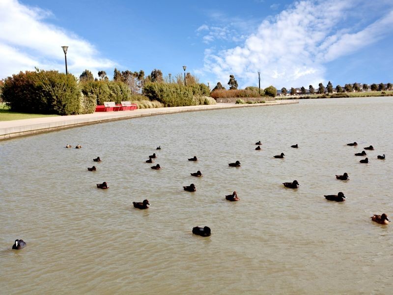 9 Moresby Court, Craigieburn VIC 3064