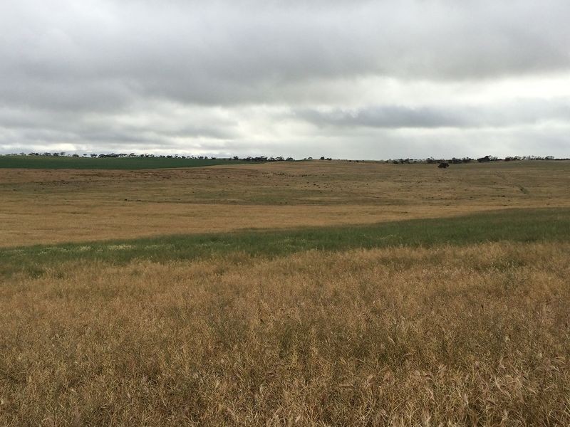 Allot 5 Morrison Plain Road, Cowangie VIC 3506