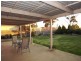 38 Proctor Crescent, Keilor Downs VIC 3038